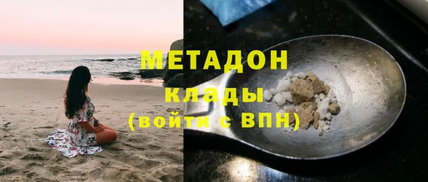 прущие грибы Снежинск